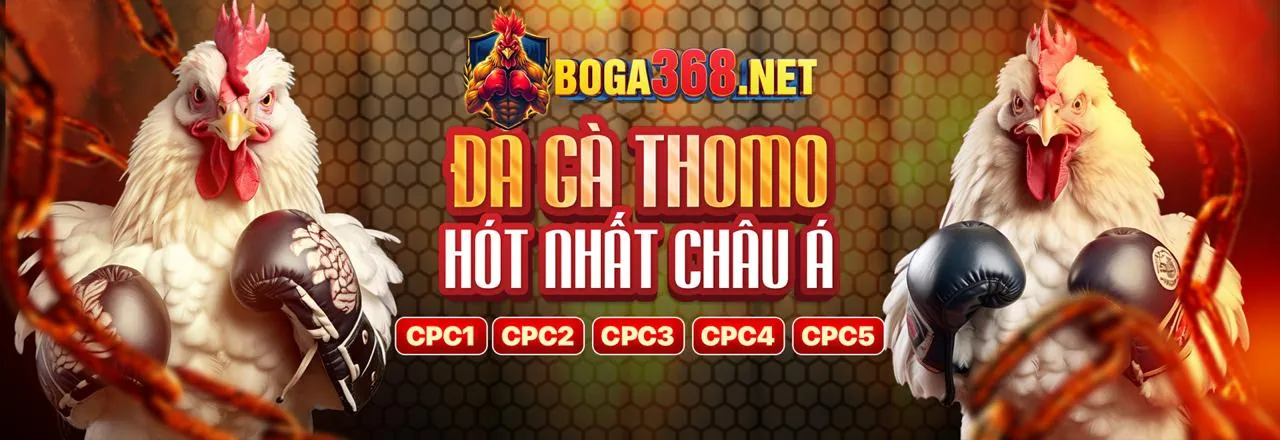Sân vận động bóng đá với giao diện cá cược okchoi casino