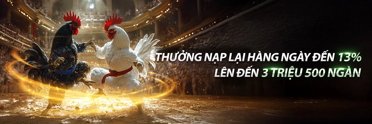 Hình ảnh Chương trình VIP độc quyền của okchoi casino